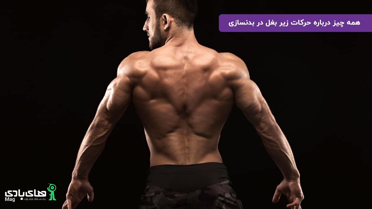 همه چیز درباره حرکات زیر بغل در بدنسازی